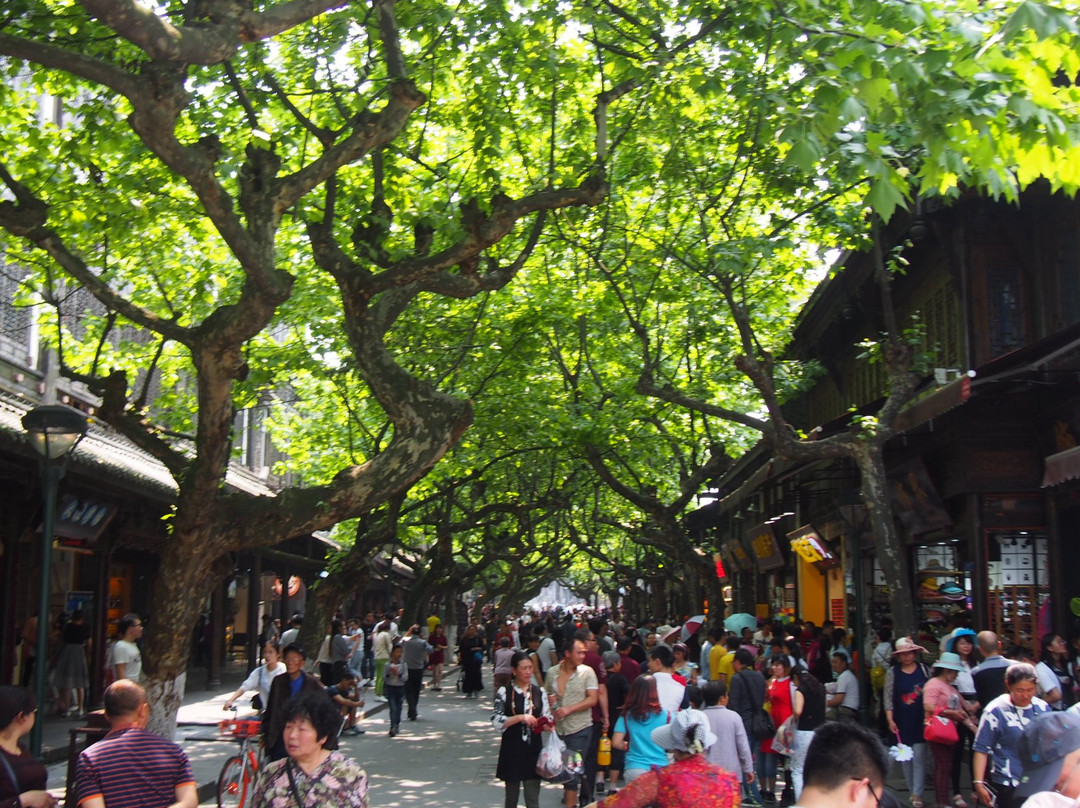 沿江古道-都江堰市必去景点
