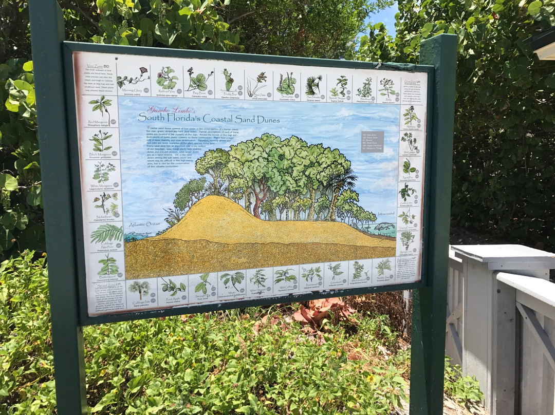 South Beach Park-博卡拉顿必去景点