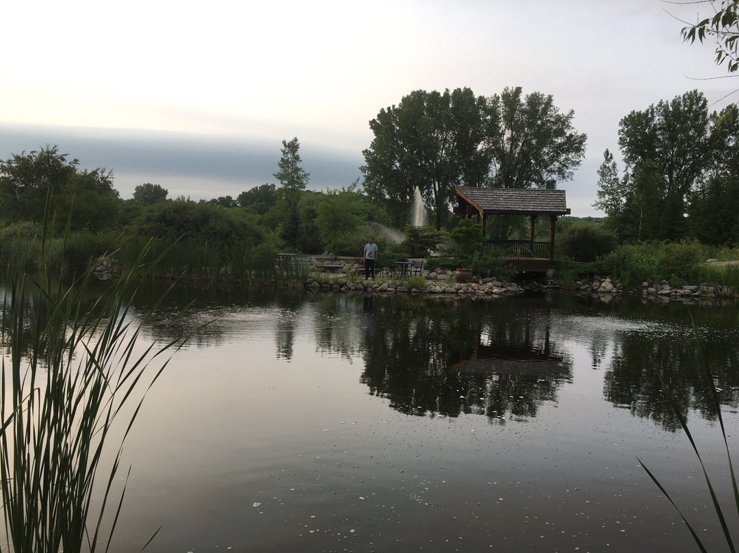 Millennium Garden-Plymouth必去景点