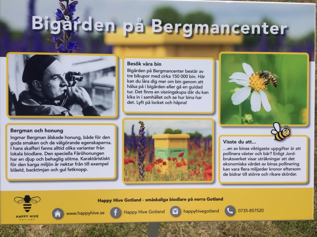 Bergmancenter pa Fårö-Faro必去景点
