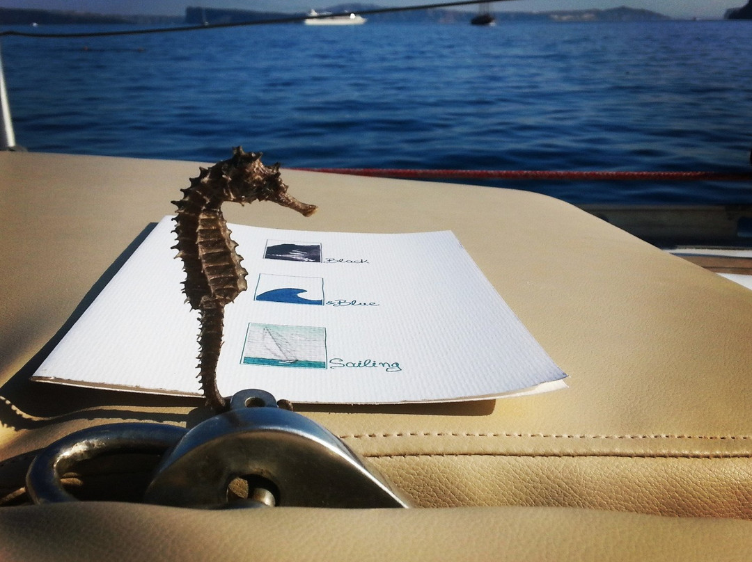 Black and Blue Sailing Santorini-费拉必去景点
