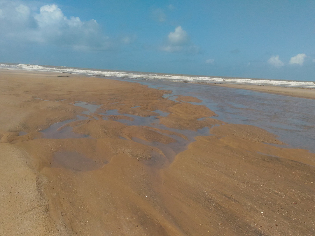 Coqueiros Beach景点图片