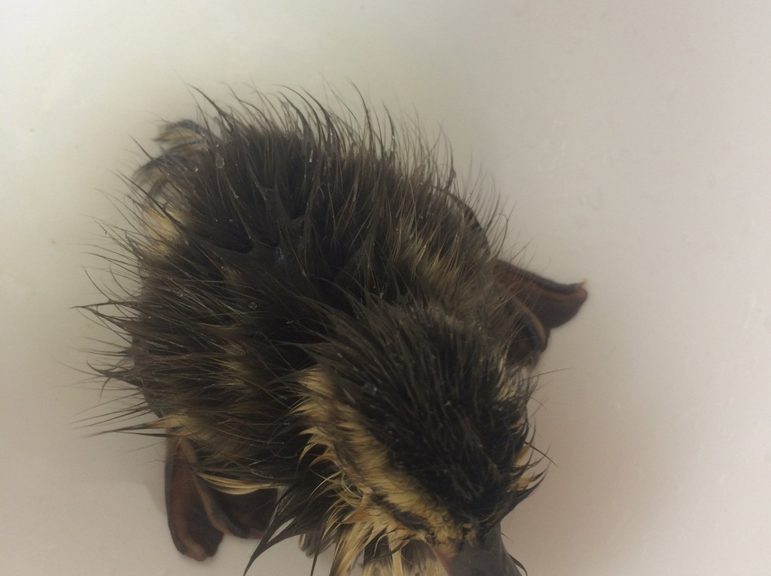 Brukner Nature Center-Troy必去景点