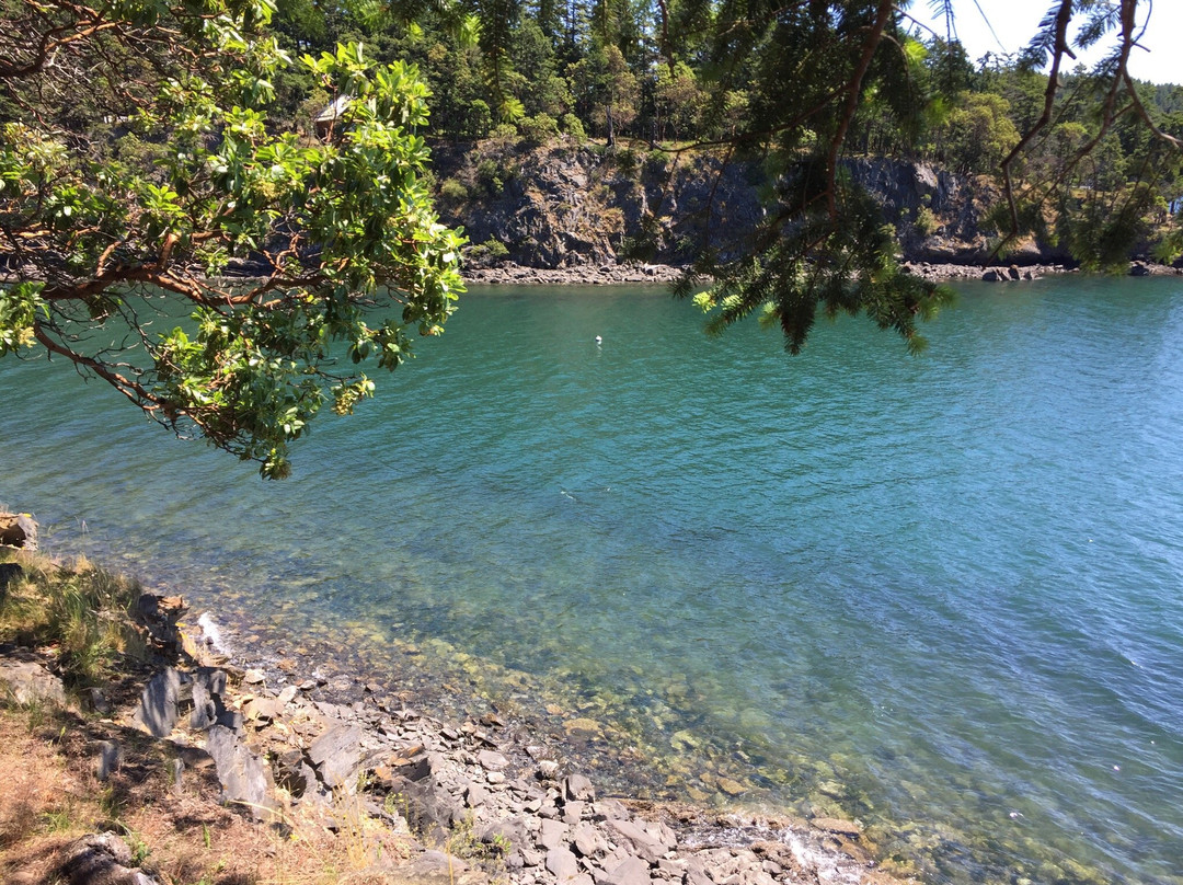 Orcas Island旅游攻略图片