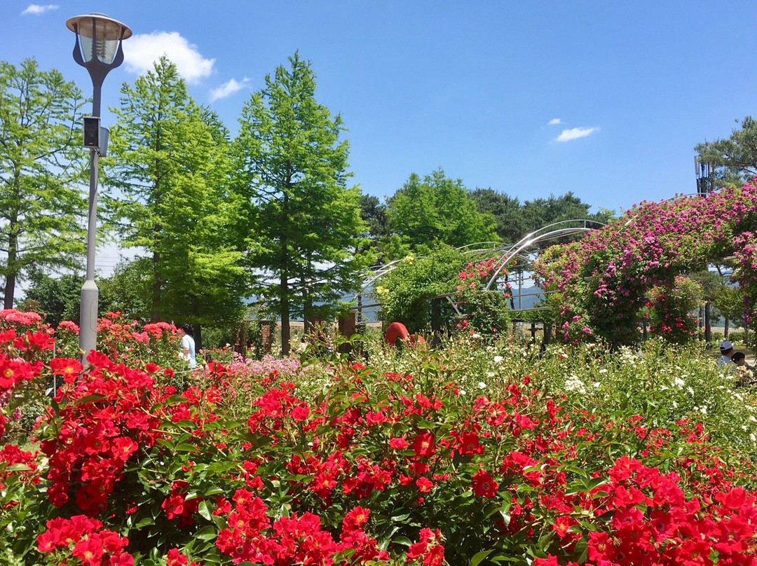 谷城郡旅游攻略图片