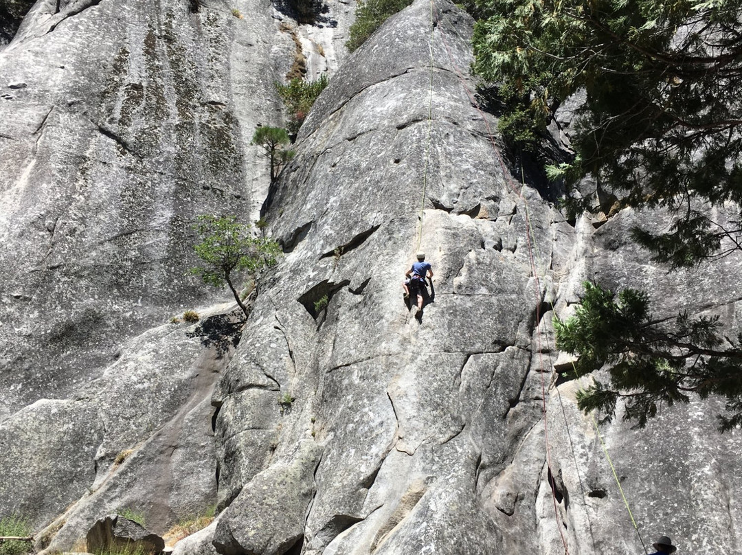 Yosemite Mountaineering School景点图片