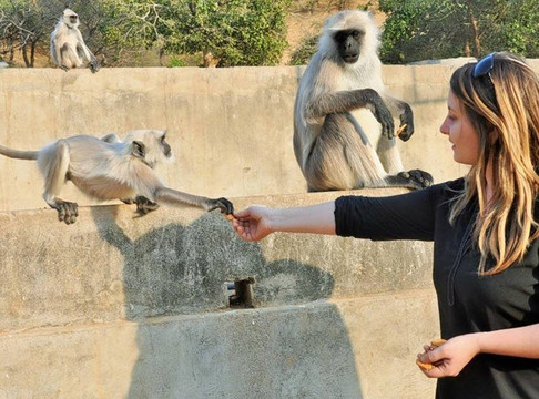 Make Bike Trip-斋蒲尔必去景点