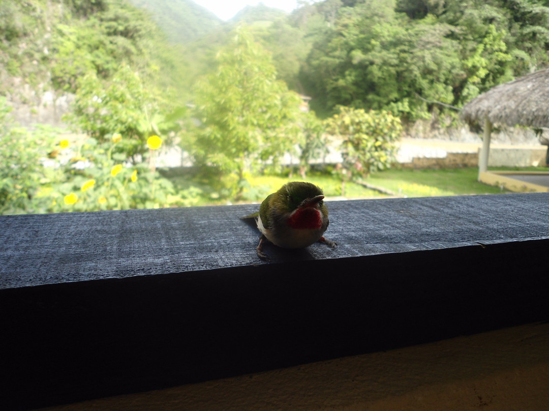 Villa Altagracia酒店住宿-Conrado's Guesthouse B&B