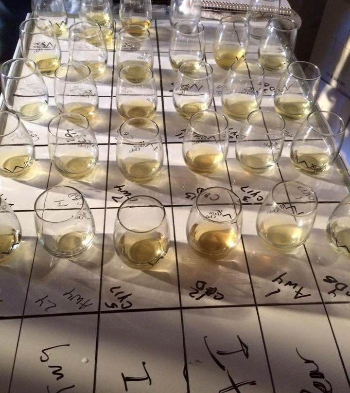 Willow Oaks-Middletown必去景点