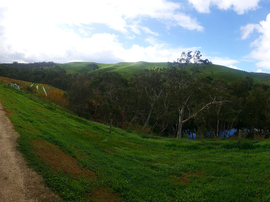 Moorabool Ridge Winery-Lethbridge必去景点
