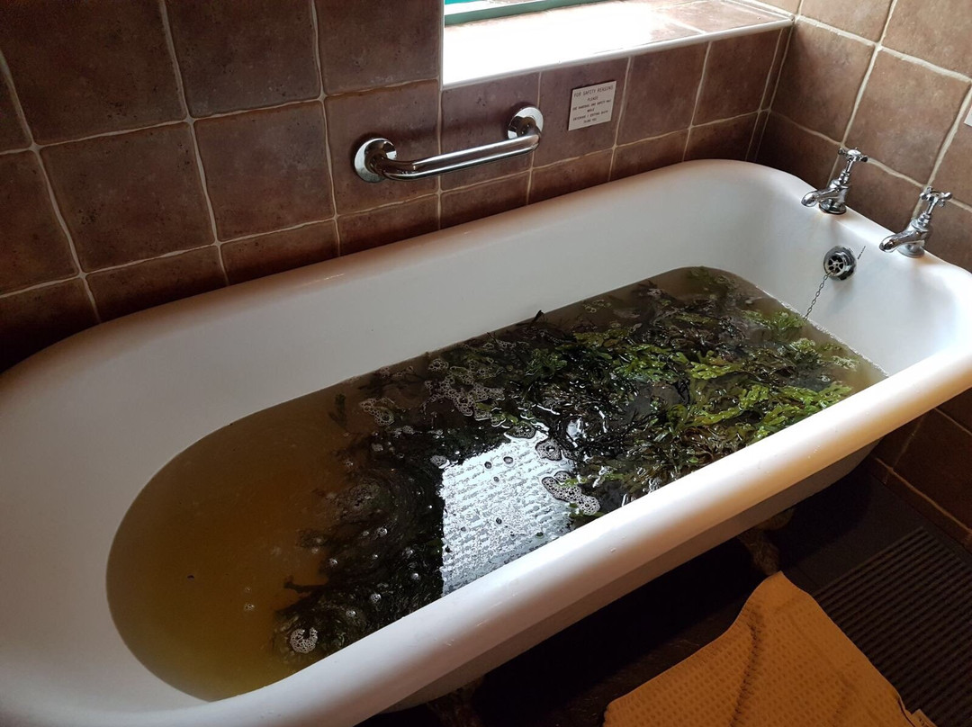 Voya Seaweed Baths-斯特兰迪希尔必去景点