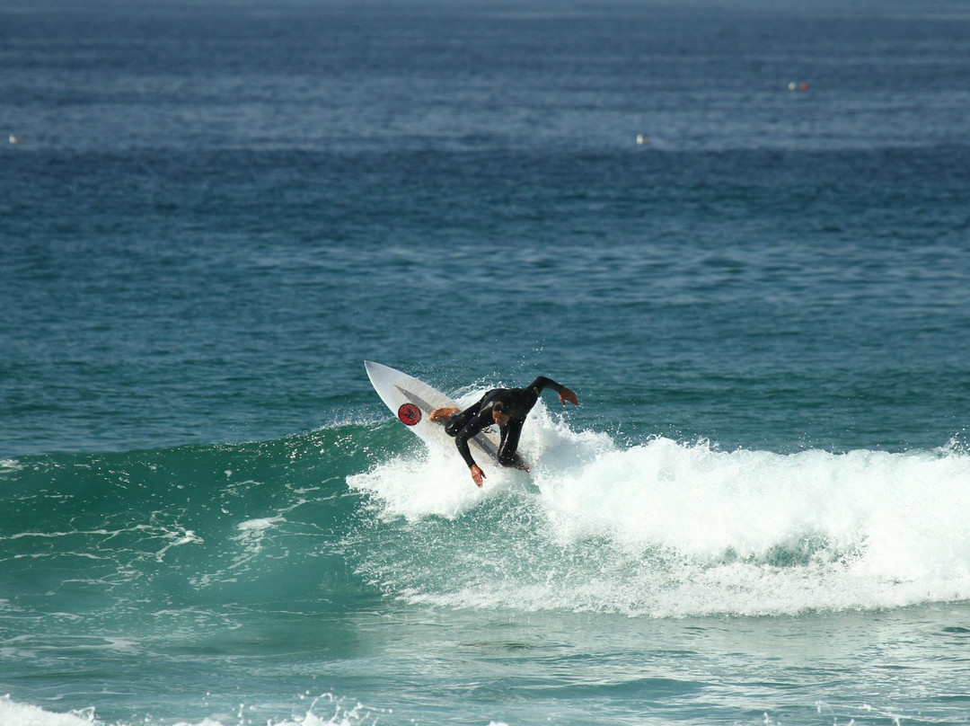 Mission Surf School景点图片