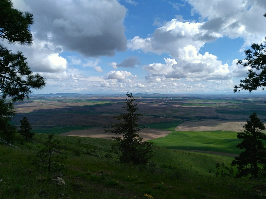 Kamiak Butte County Park景点图片