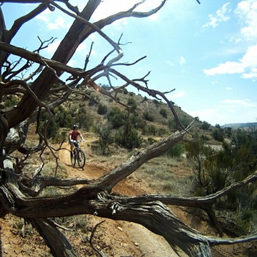 Colorado Backcountry Biker-弗鲁塔必去景点