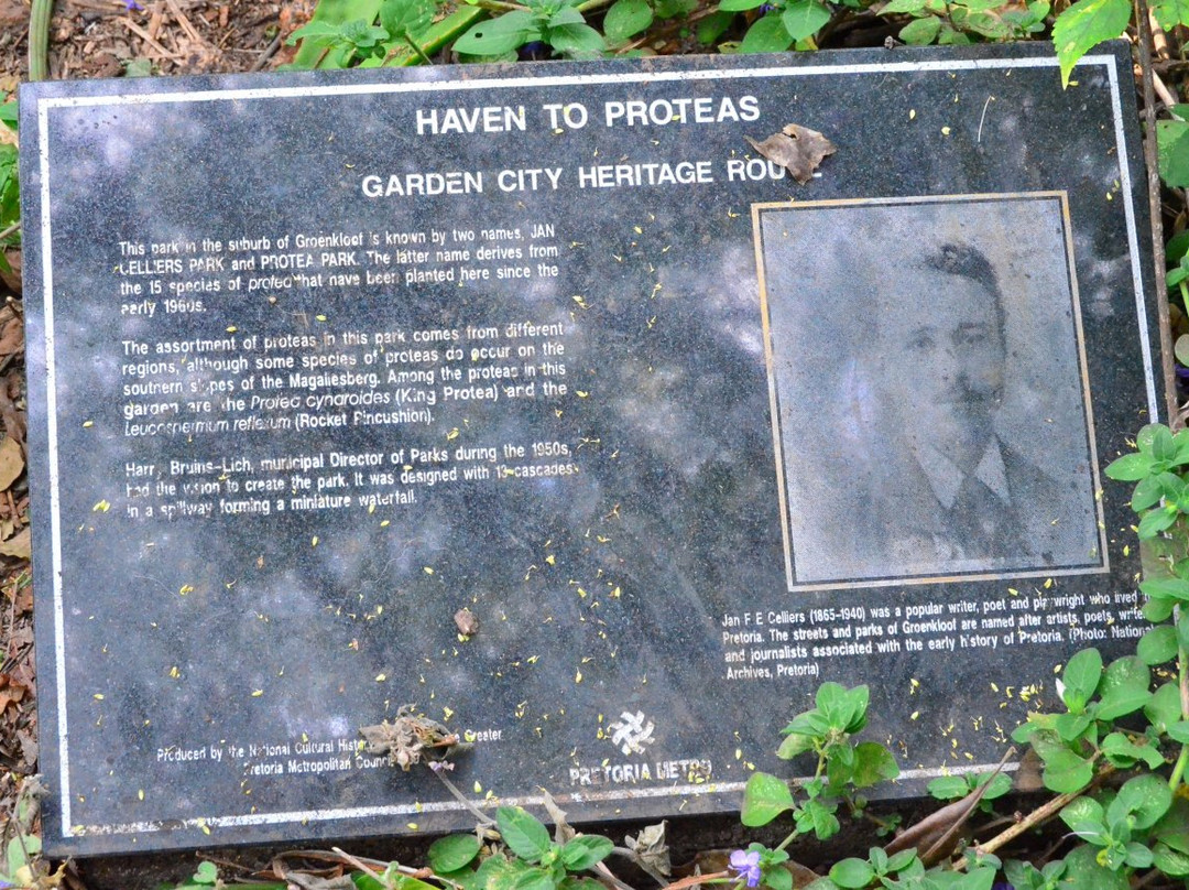 Jan Celliers Park-比勒陀利亚必去景点