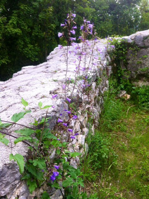 Biotopo Magredi di San Quirino景点图片