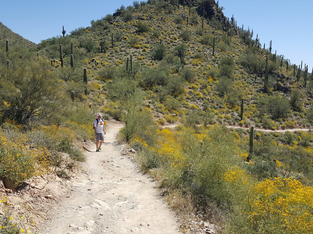 洞溪旅游攻略图片