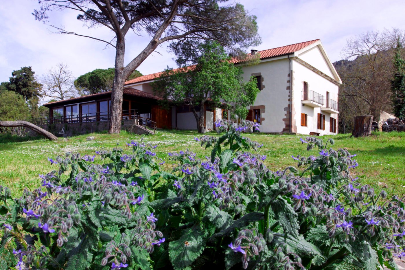 Hotel Locanda Minerva-官方