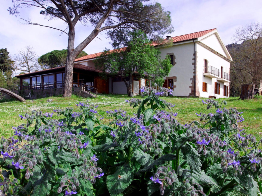 Villanova Monteleone酒店住宿-Hotel Locanda Minerva