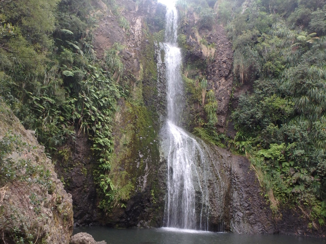 Bike and Hike Limited-奥克兰中心地区必去景点