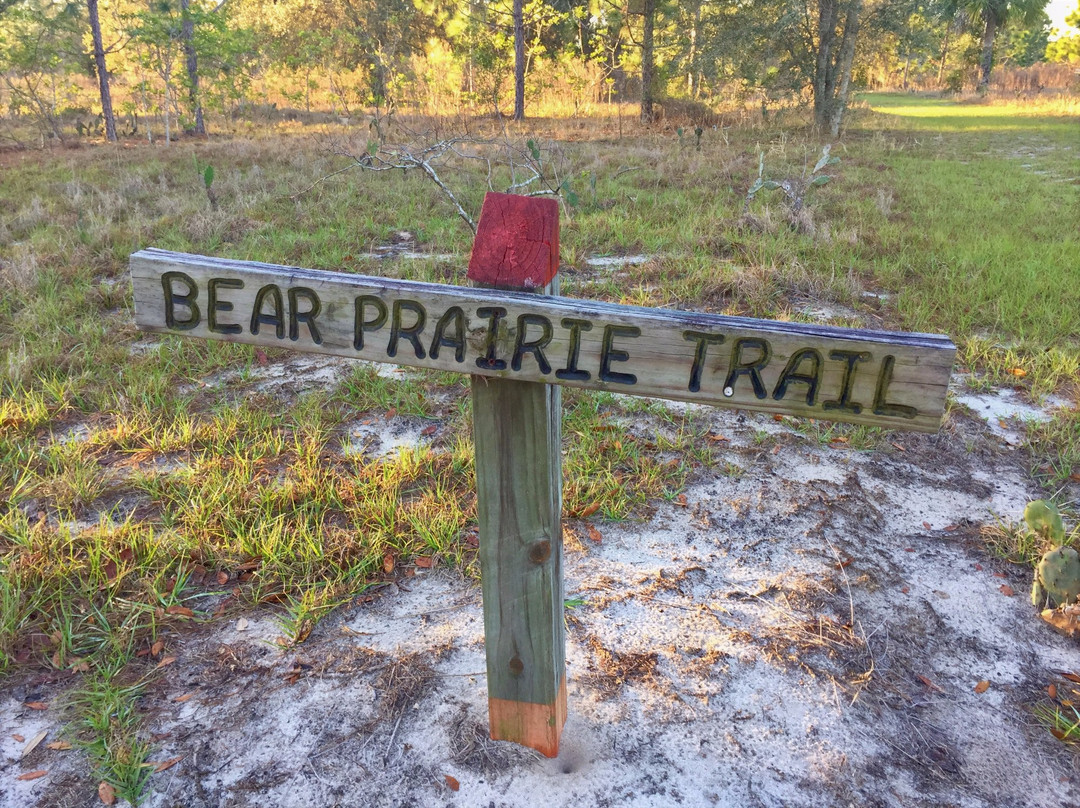 Sawgrass Island Preserve-Umatilla必去景点