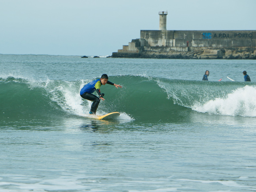 Salty Wave Surf School-马托西纽什必去景点