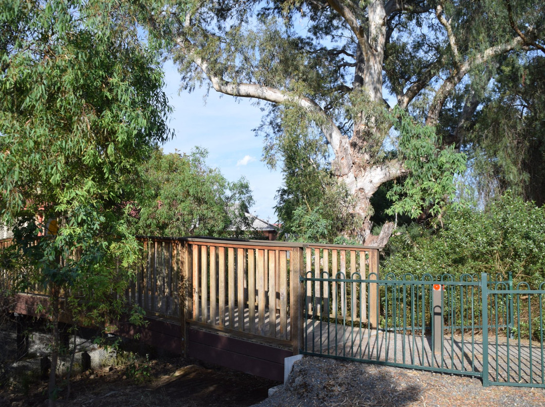 Abbotshall Precinct Walk景点图片