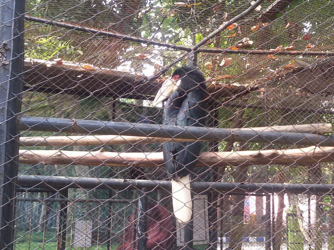 Taman Wisata Studi Lingkungan-庞越必去景点