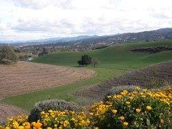 PasoPort Winery景点图片