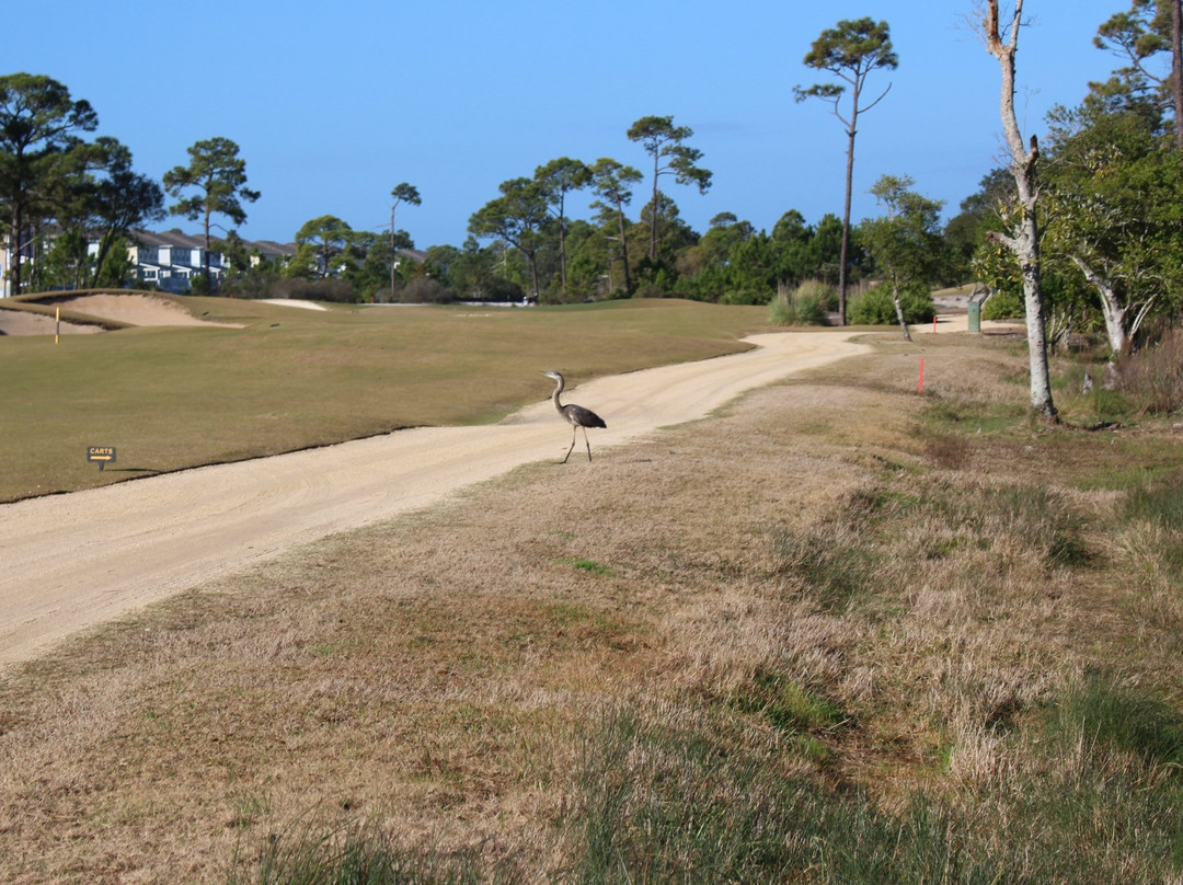 Lost Key Golf Club-Perdido Key必去景点