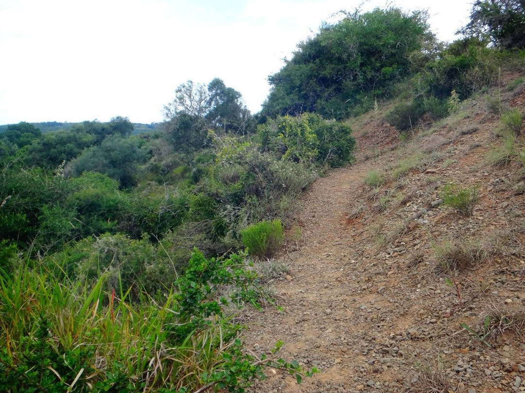 Lushington Valley Reserve景点图片