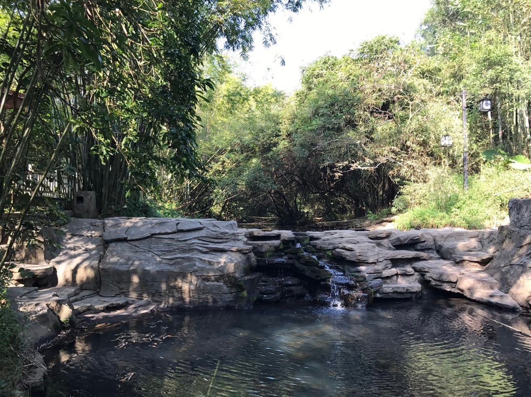 大屏障森林公园-东莞市必去景点