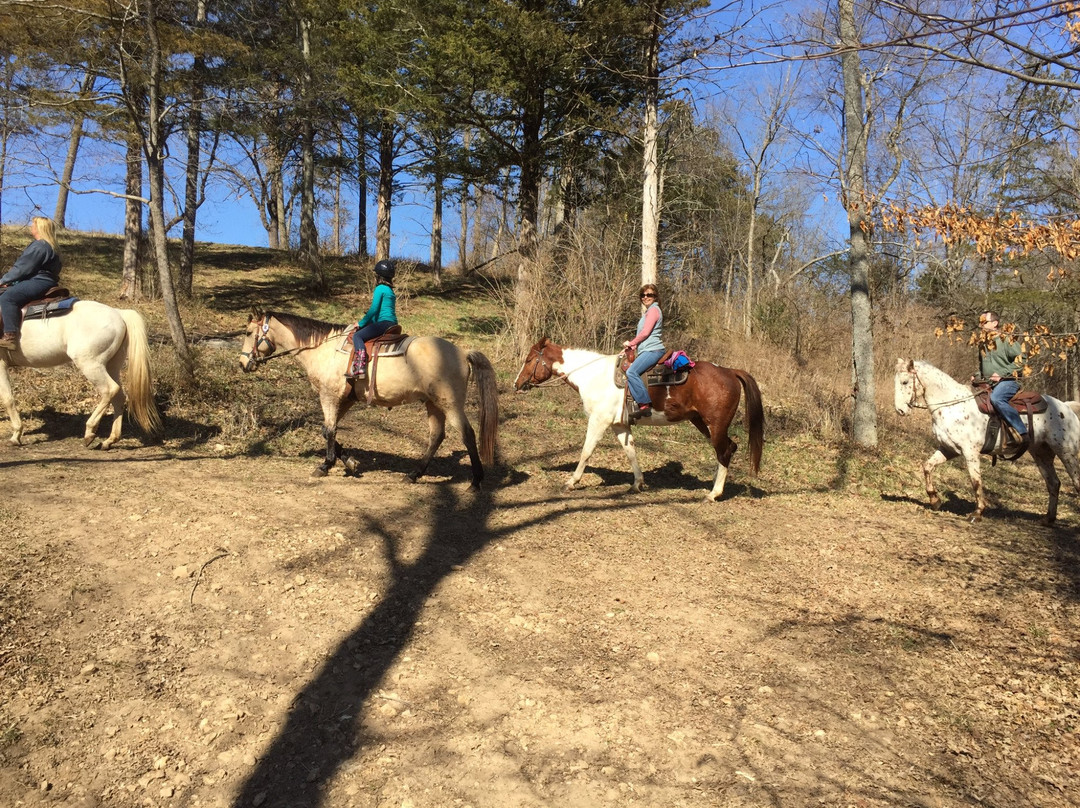 Flying Q-费耶特维尔必去景点