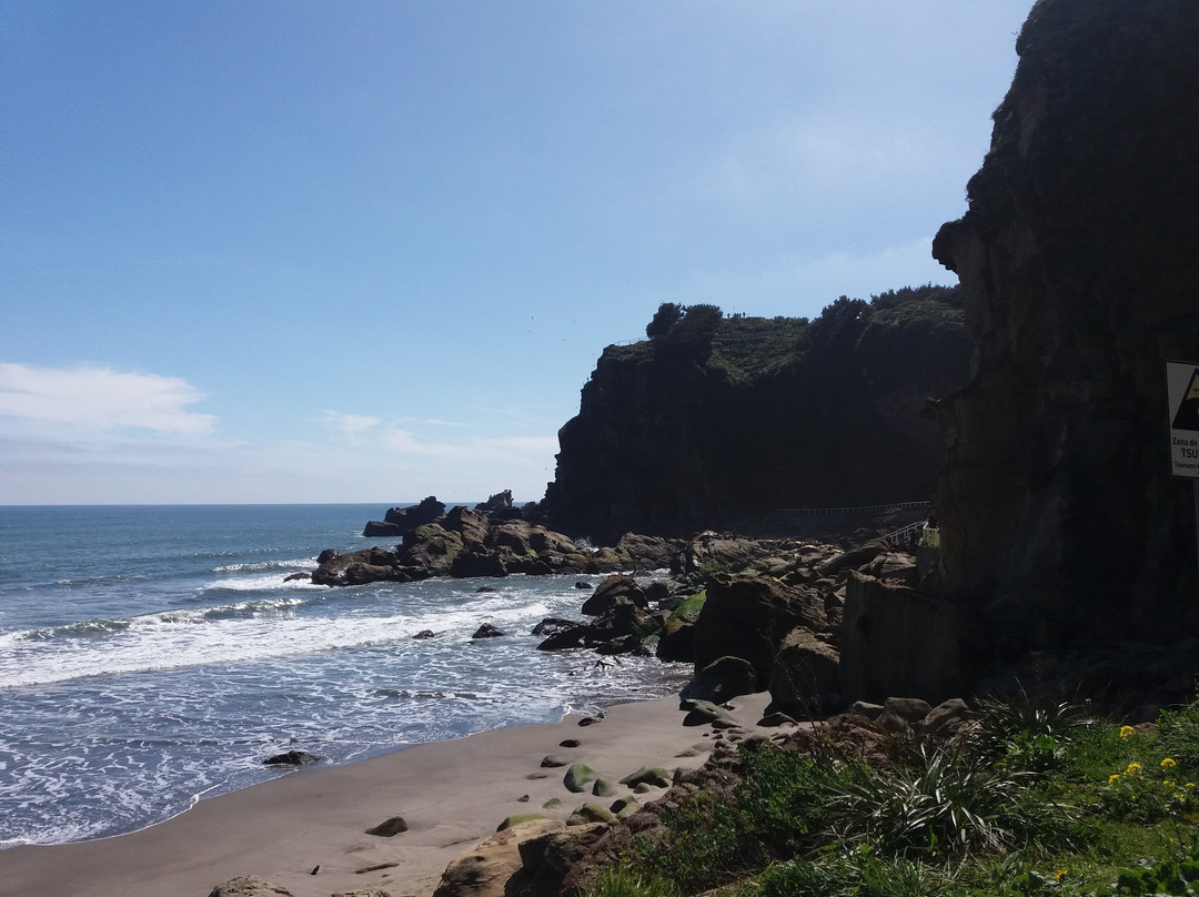 Cavernas de Benavides-Lebu必去景点