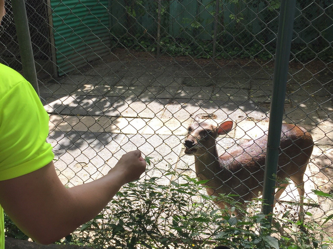 Cushing Zoo-杜梦湾必去景点