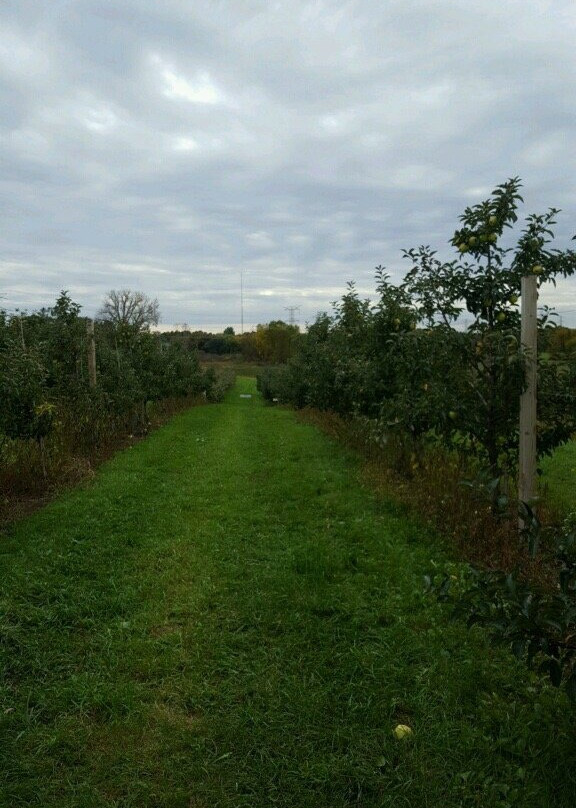 Valley Orchard-Cherry Valley必去景点
