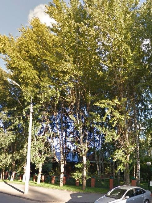 Kadyshevskaya Mosque-喀山必去景点