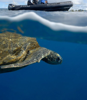 Z Tourz-可洛亚必去景点