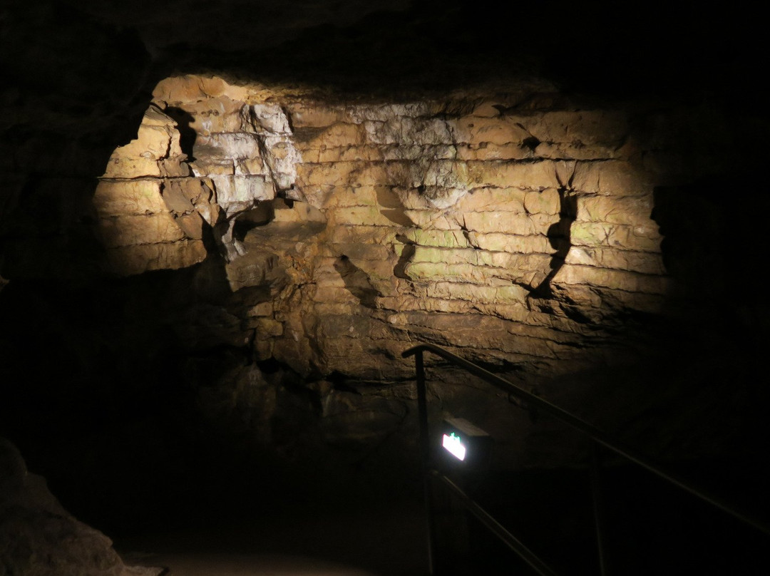 Loczy Cave景点图片