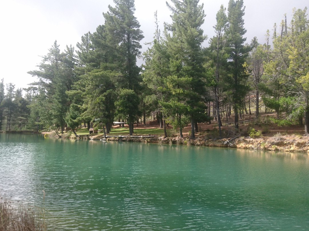 Protea Farm Tractor Trips-蒙提古必去景点