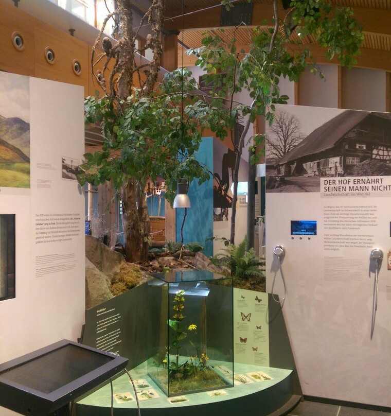 Haus der Natur-菲尔德山必去景点