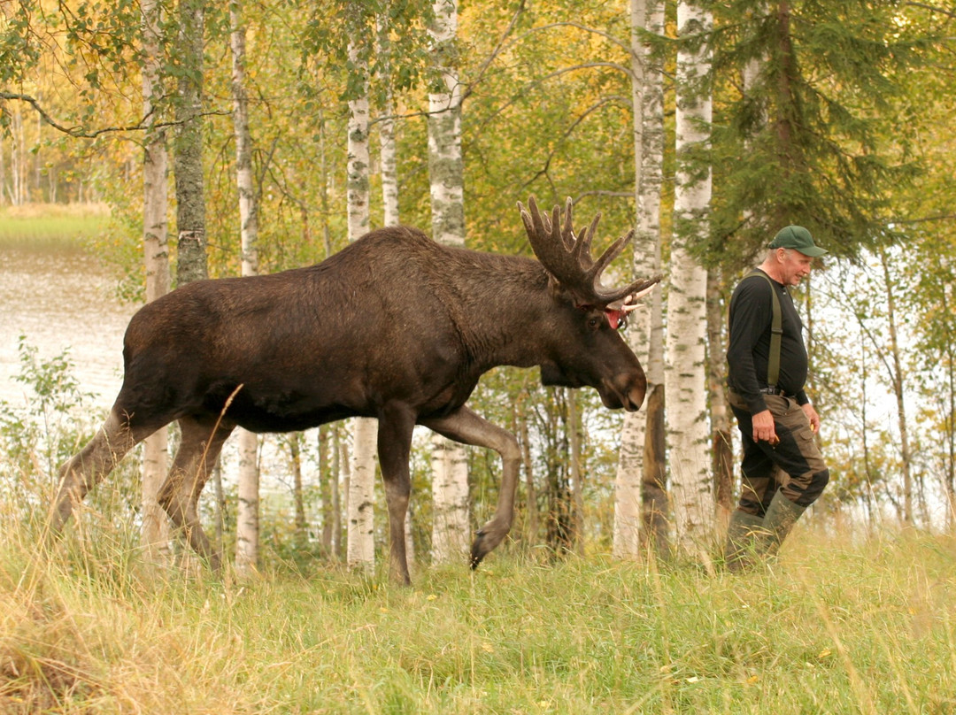 Arctic Moose Farm景点图片