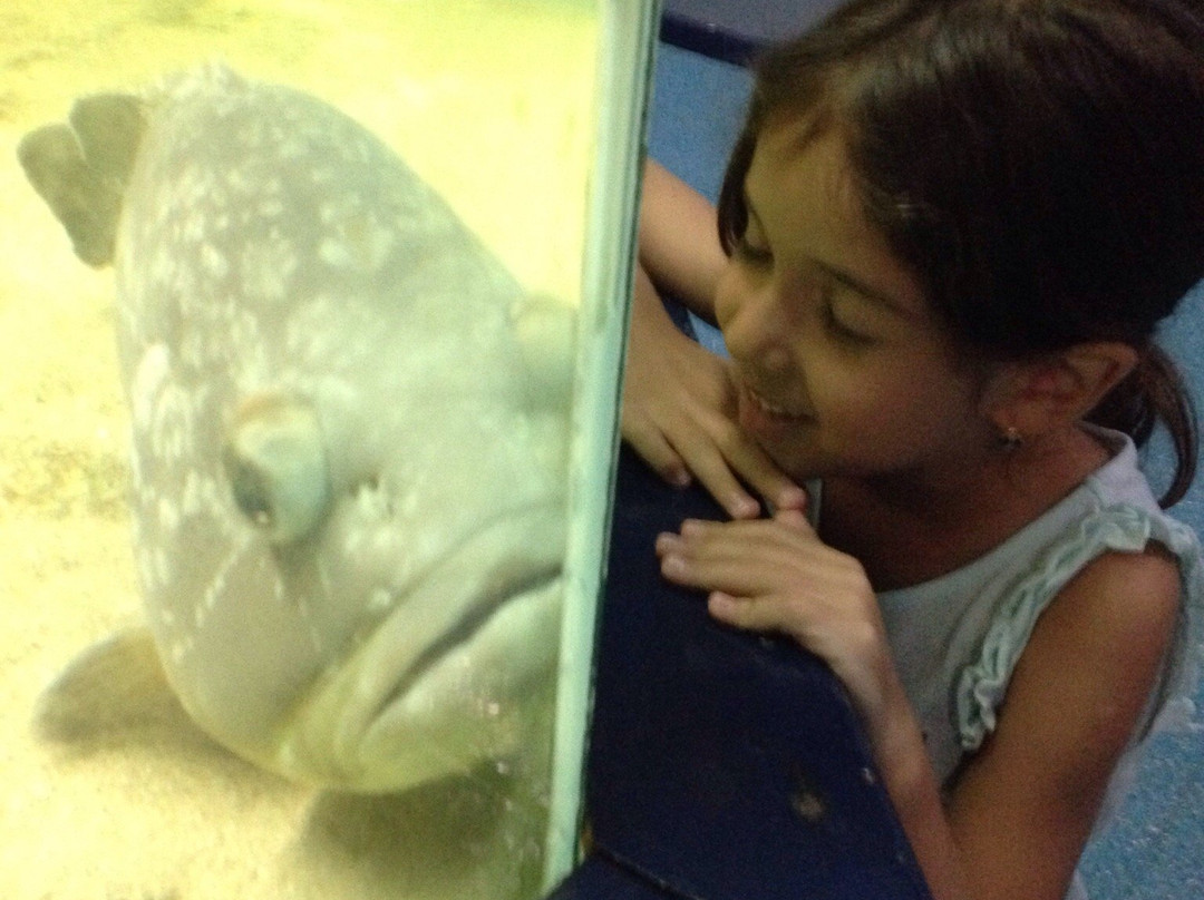 Oceanographic Museum-迦太基必去景点