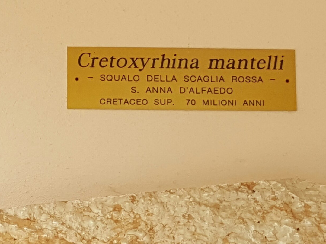 Museo Geopaleontologico di Camposilvano景点图片
