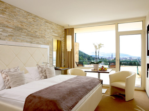 佛莱堡酒店住宿-弗赖堡全景美居酒店