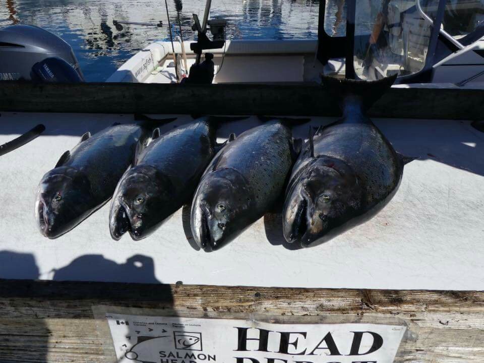 AG-Fish Enterprises-Quadra Island必去景点