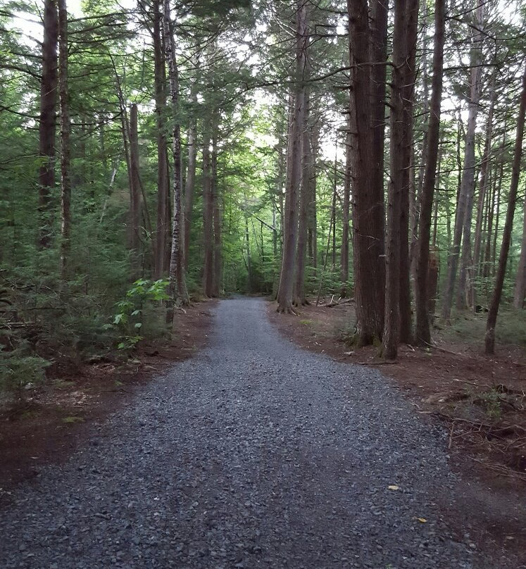 Odell Park-弗雷德里克顿必去景点