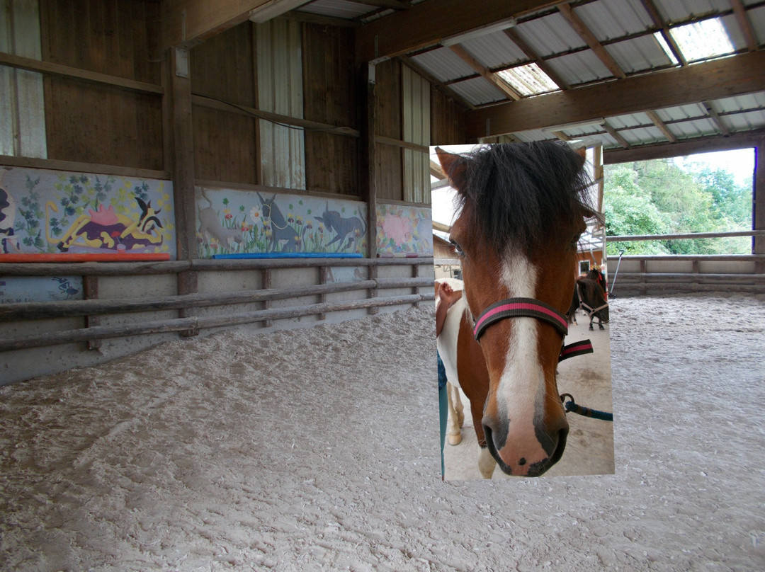 L'Ecurie Muringer-Aspach-le-Bas必去景点