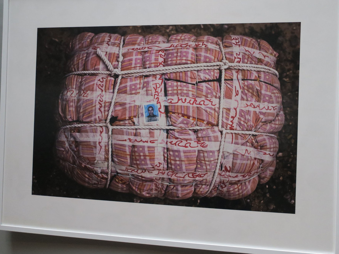 Museo de Arte de Pereira-佩雷拉必去景点