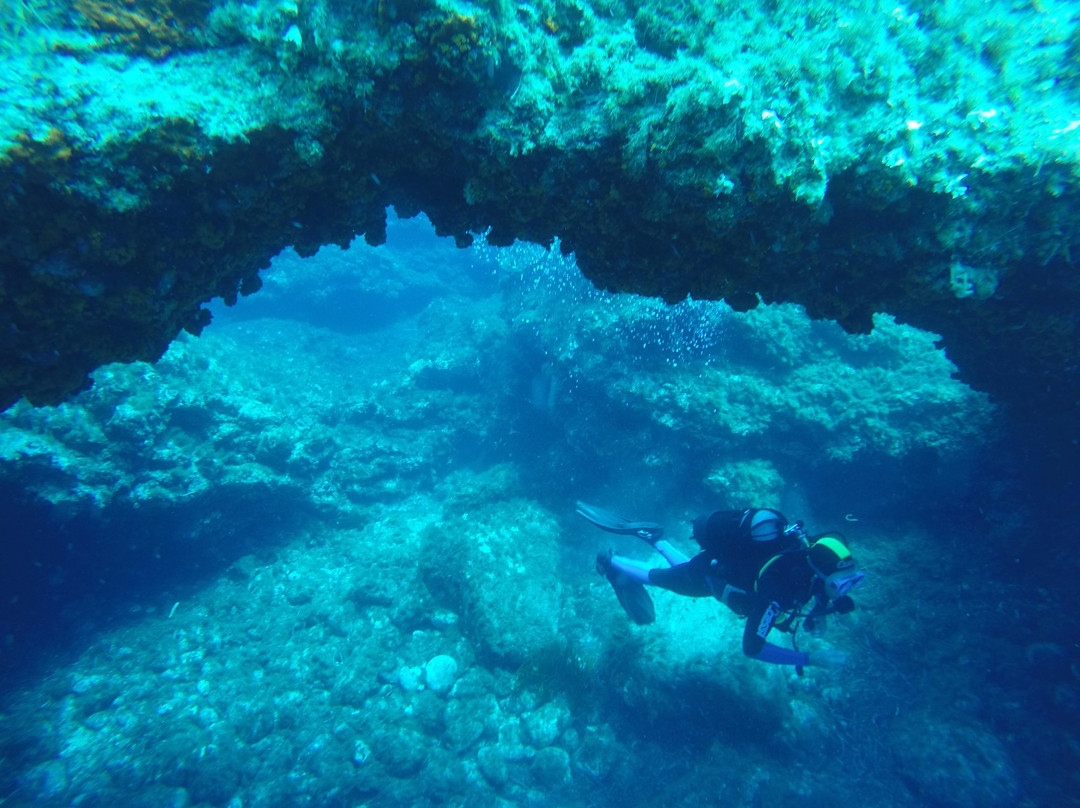 Terraferma Diving景点图片